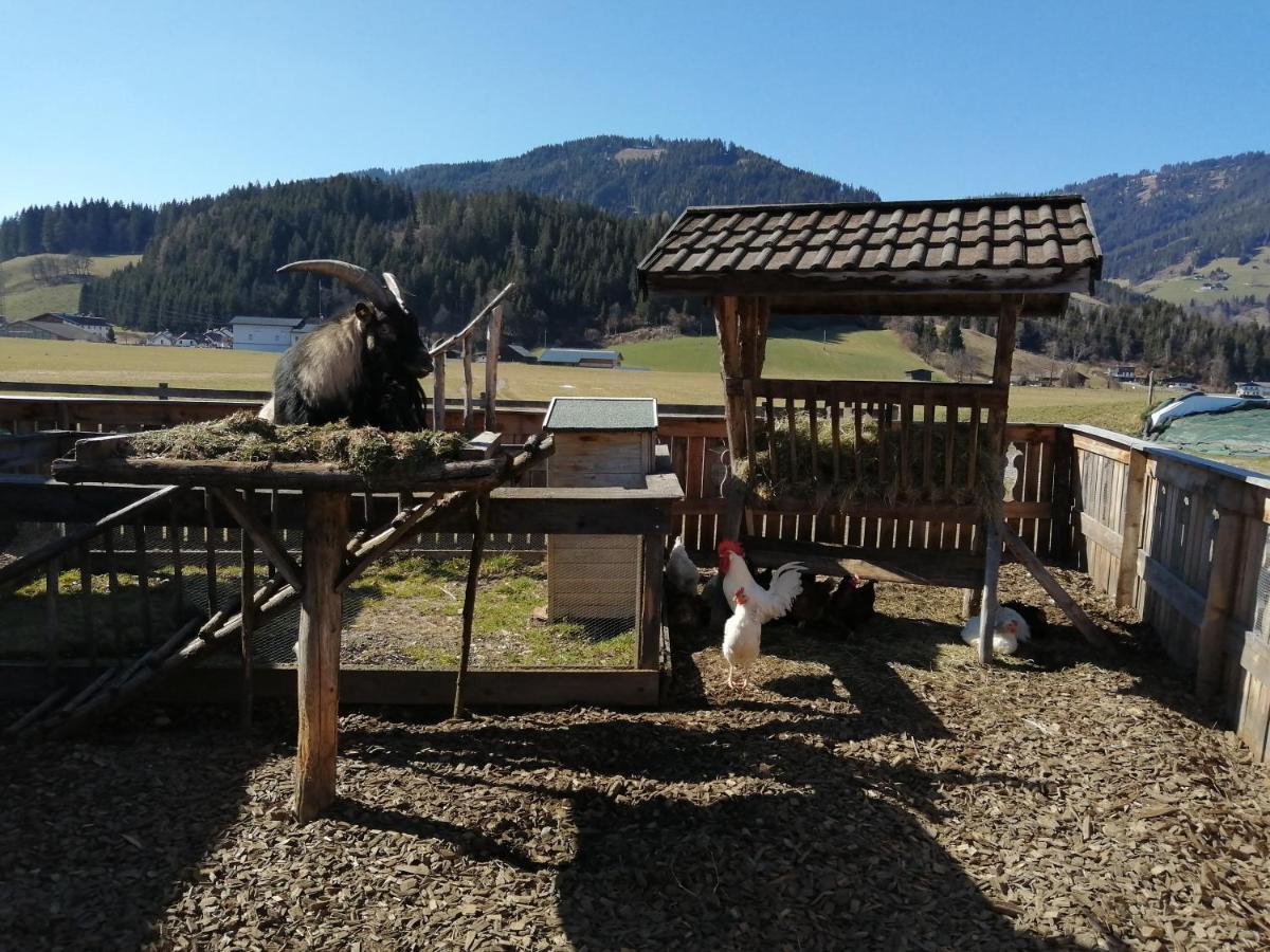 Landhaus Fingerhof Flachau Exterior photo